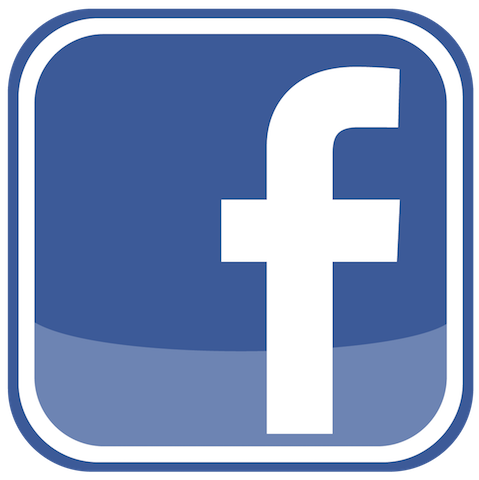 facebook button