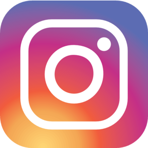 instagram button